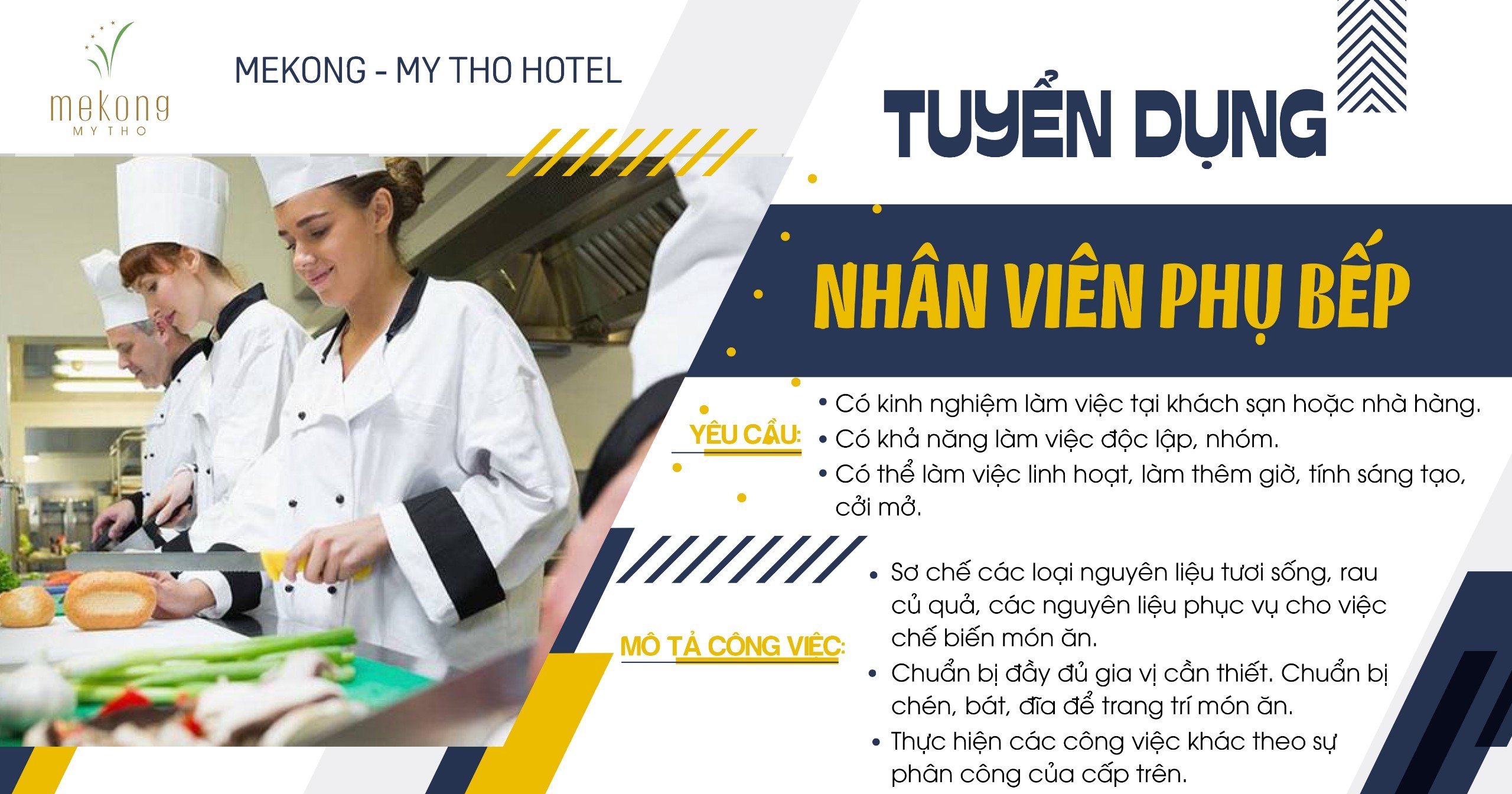 lĩnh vực hoạt động